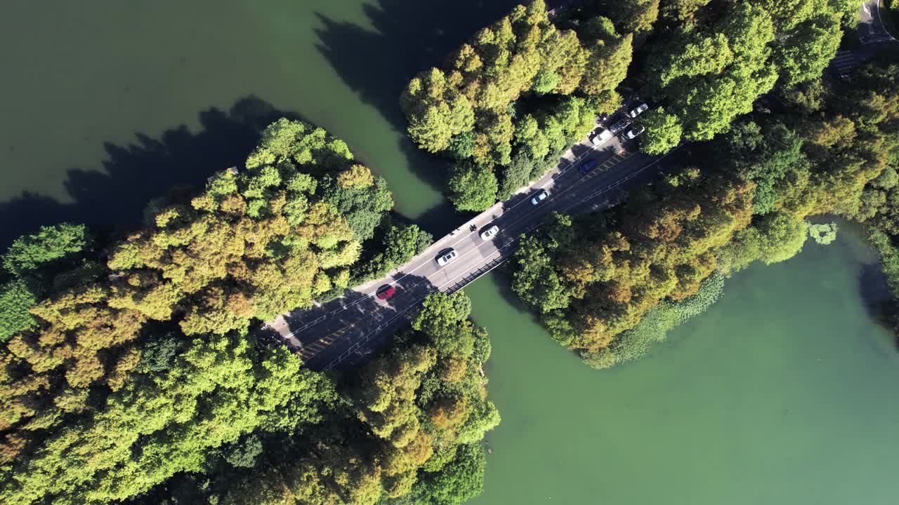 穿过湖泊和树木区的道路视频下载