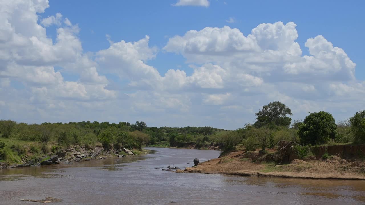马拉河，马赛马拉国家保护区，肯尼亚，非洲视频下载