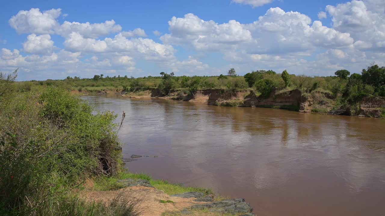 马拉河，马赛马拉国家保护区，肯尼亚，非洲视频下载