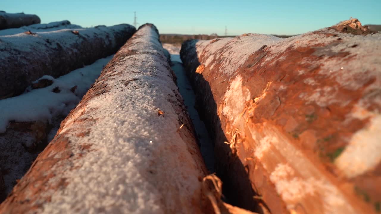 堆积木材在蓝天的冬天视频素材