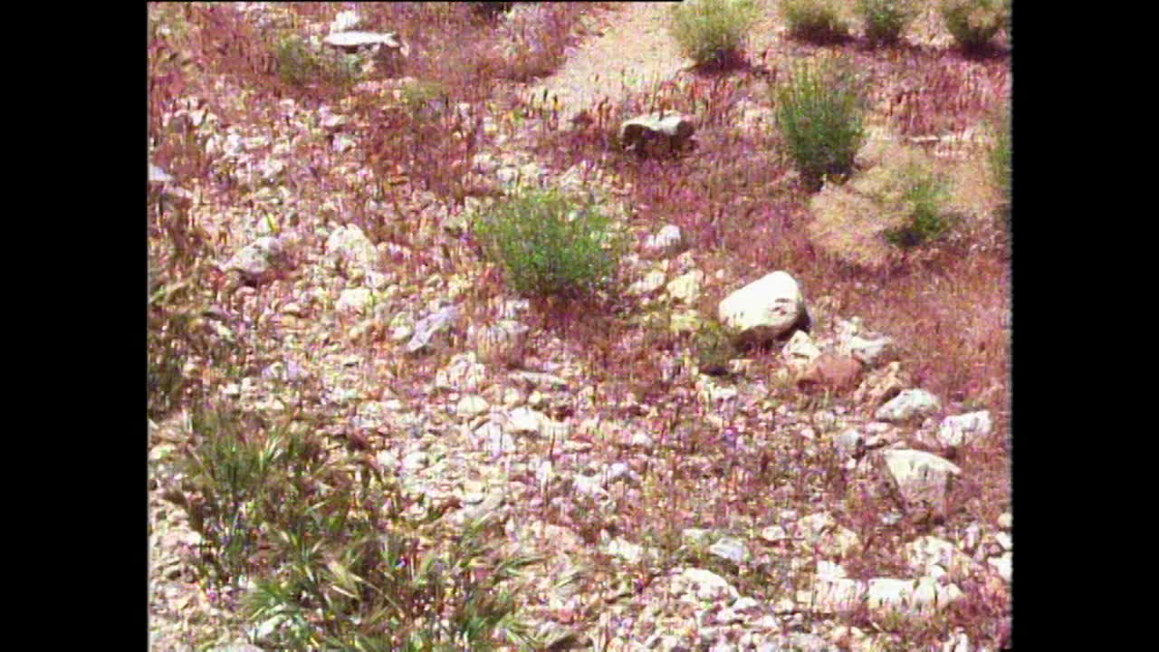 TU莫哈韦沙漠地面到拉斯维加斯附近的岩层;1981视频素材