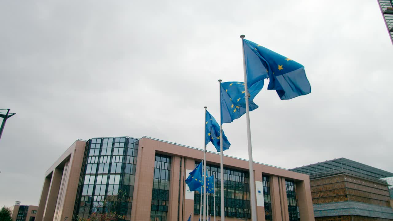 在比利时布鲁塞尔欧盟委员会办公室附近挥舞着欧盟旗帜视频素材