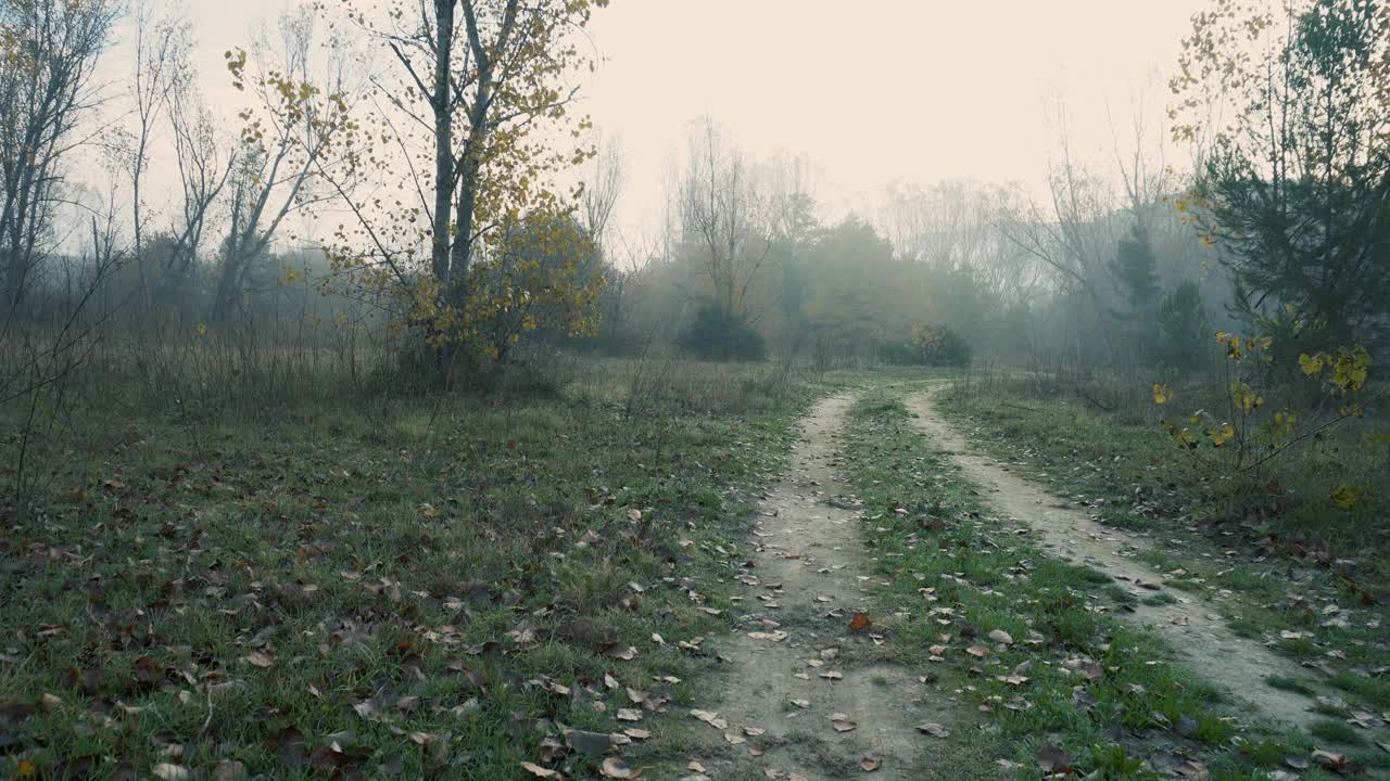 秋天的田野上有一条泥泞的土路视频素材