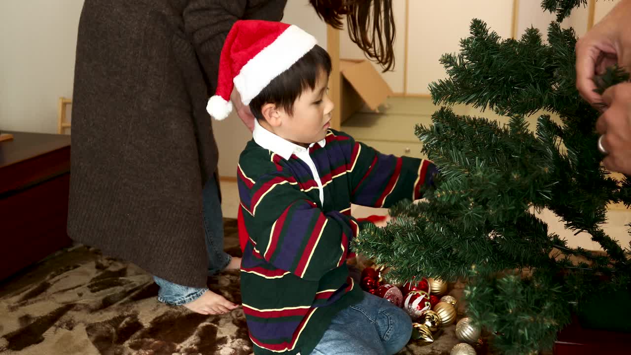 一个男孩帮助准备圣诞树视频下载