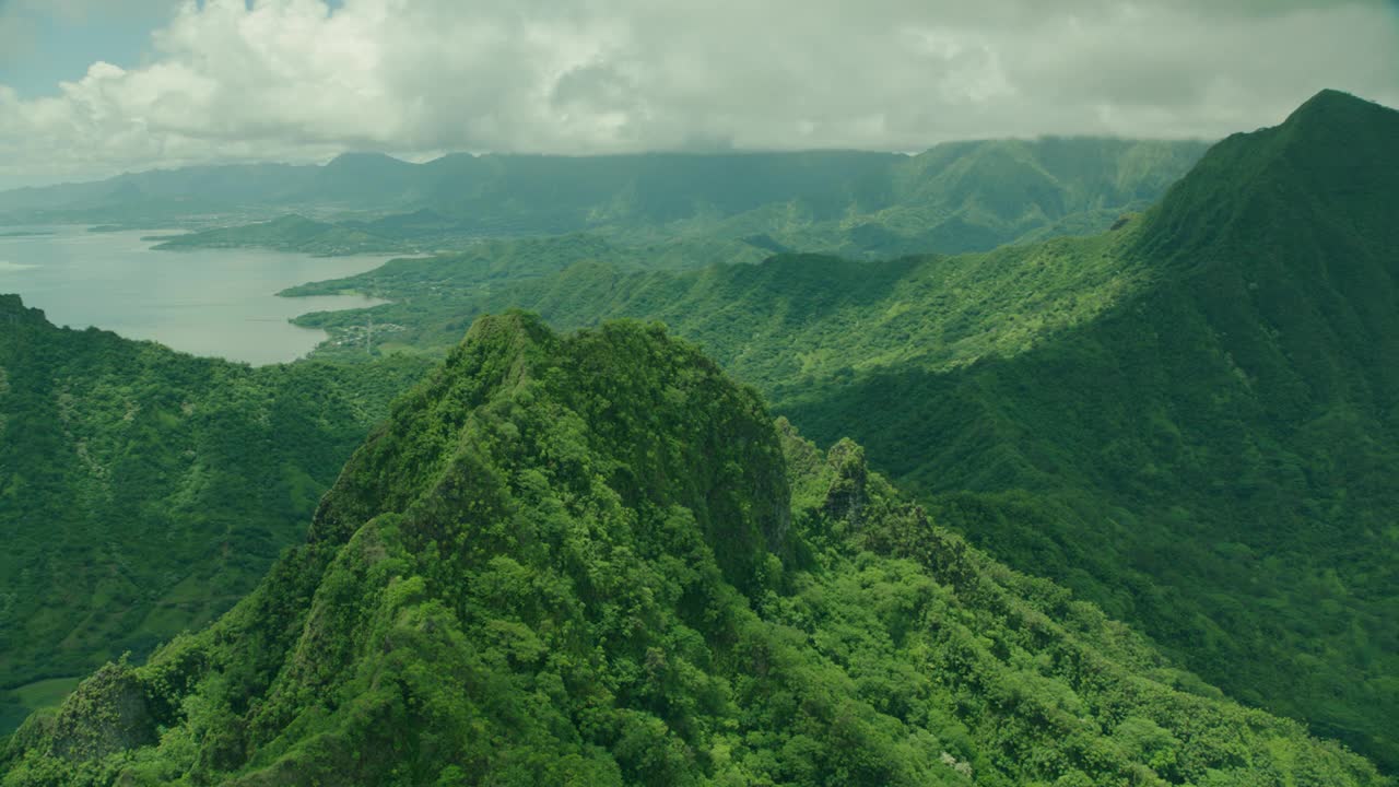飞越葱翠的山顶，夏威夷的库亚罗亚牧场视频下载