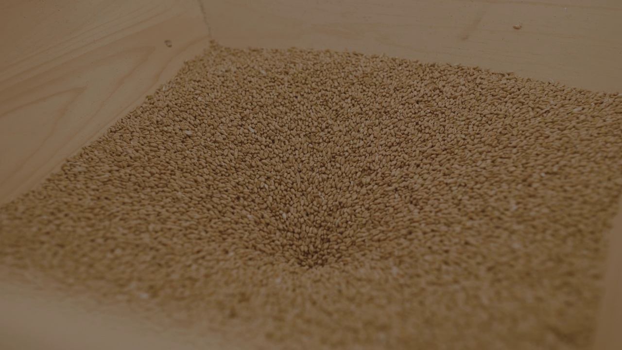 麦粒进入面粉机视频下载