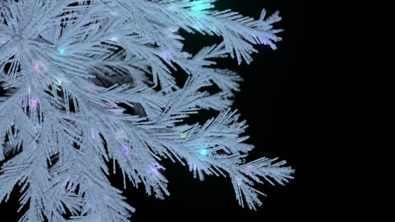 闪烁的灯光和白色的圣诞树在黑色的背景上。视频下载