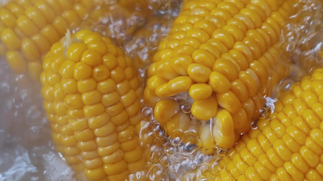 沸水里的玉米棒。玉米已成为世界许多地区的主食，玉米的总产量超过了小麦或大米。视频素材
