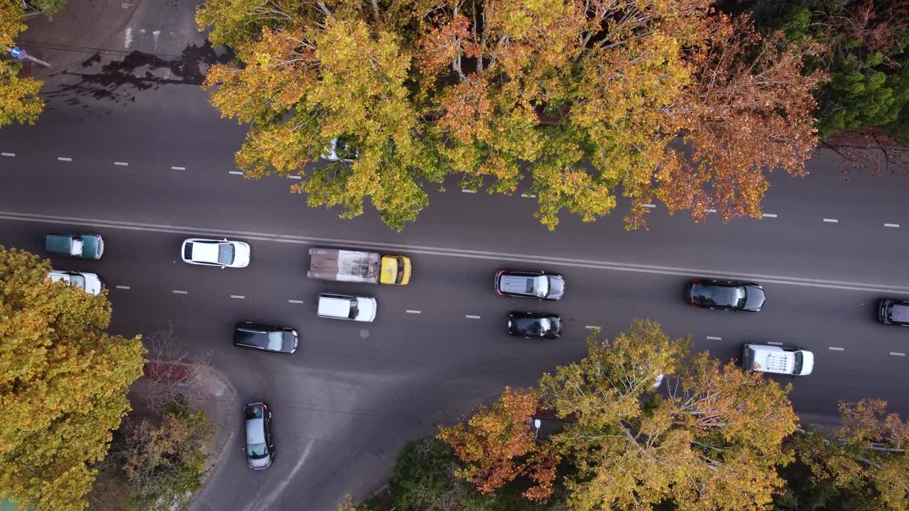 秋天的树木和街上的车辆视频素材