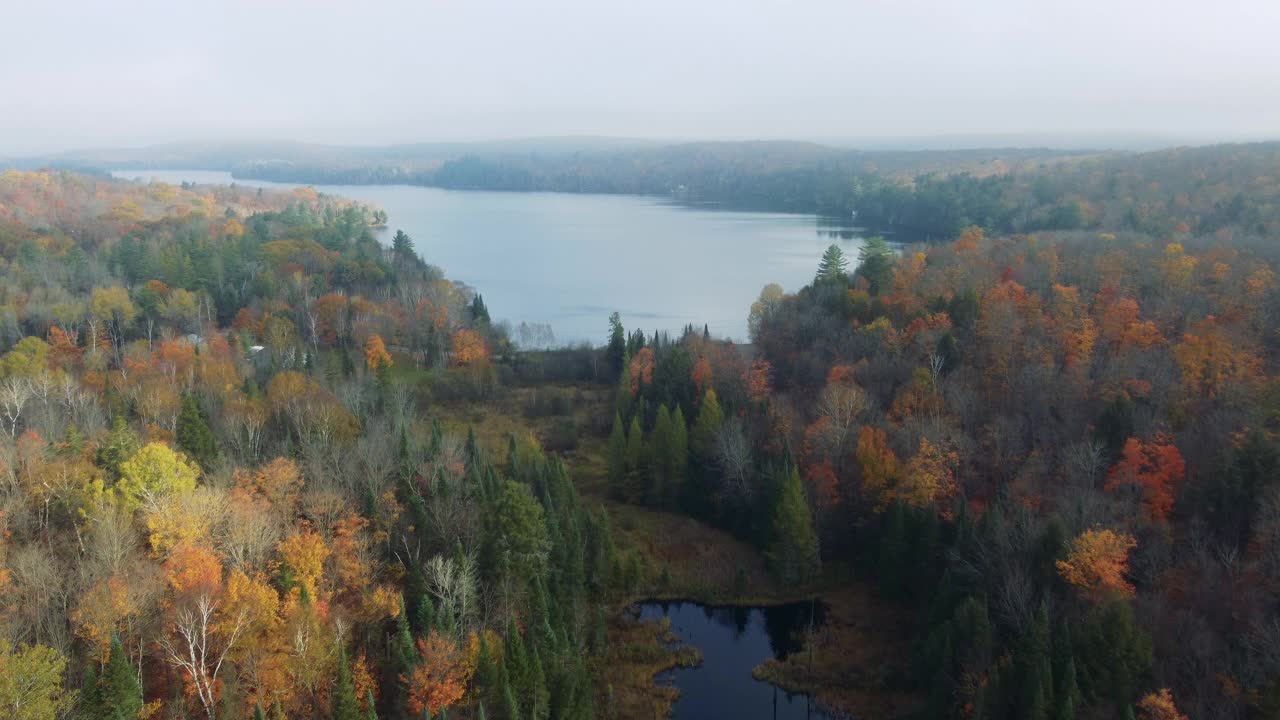 空中全景图，一个美丽的湖泊在森林中五颜六色的树木在秋天。摄于加拿大安塔里奥的马斯科卡湖。视频下载