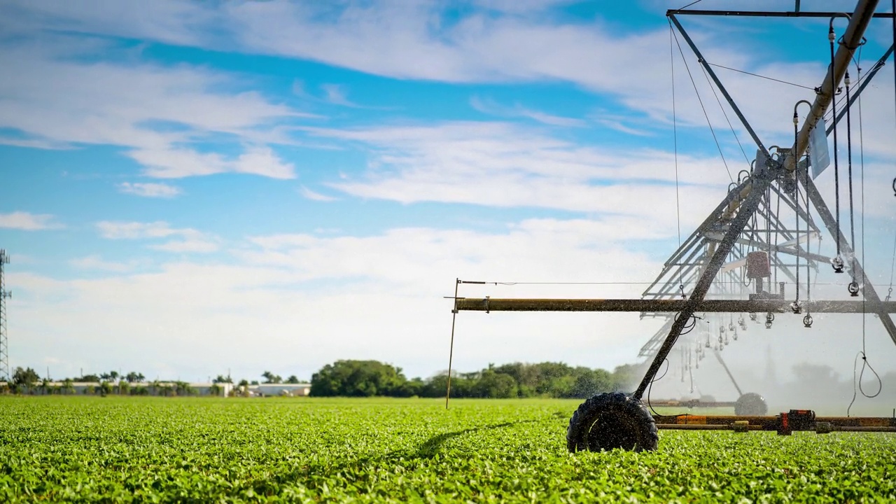 中心支点灌溉系统:得克萨斯州农场视频素材
