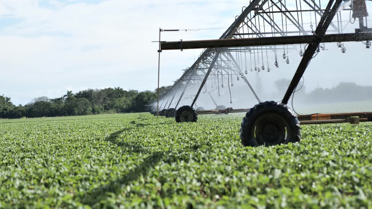中心枢纽灌溉系统:德克萨斯州的牧场视频素材