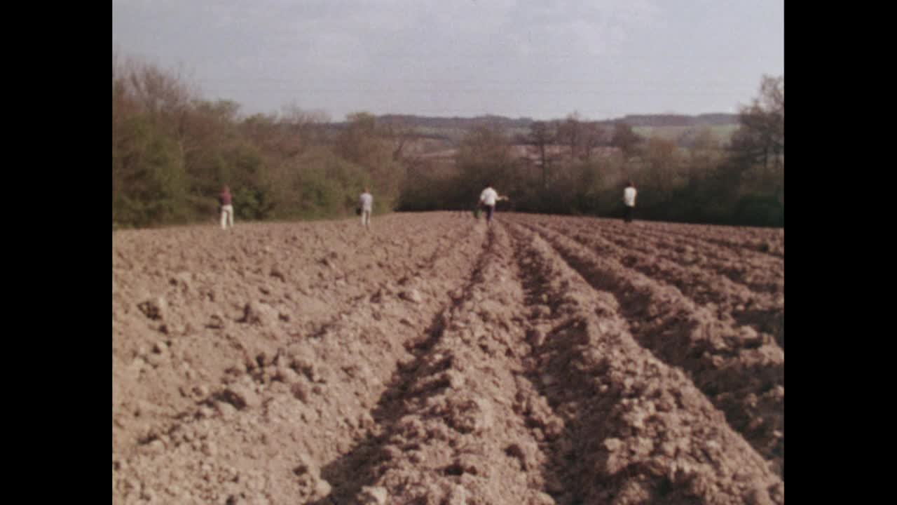 人们在农场上用手喷洒有机液体肥料;1971视频下载