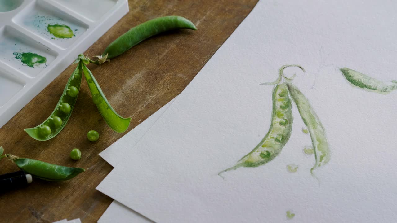 女艺术家的手画的静物在水彩画的绿色豌豆荚。4 k视频下载