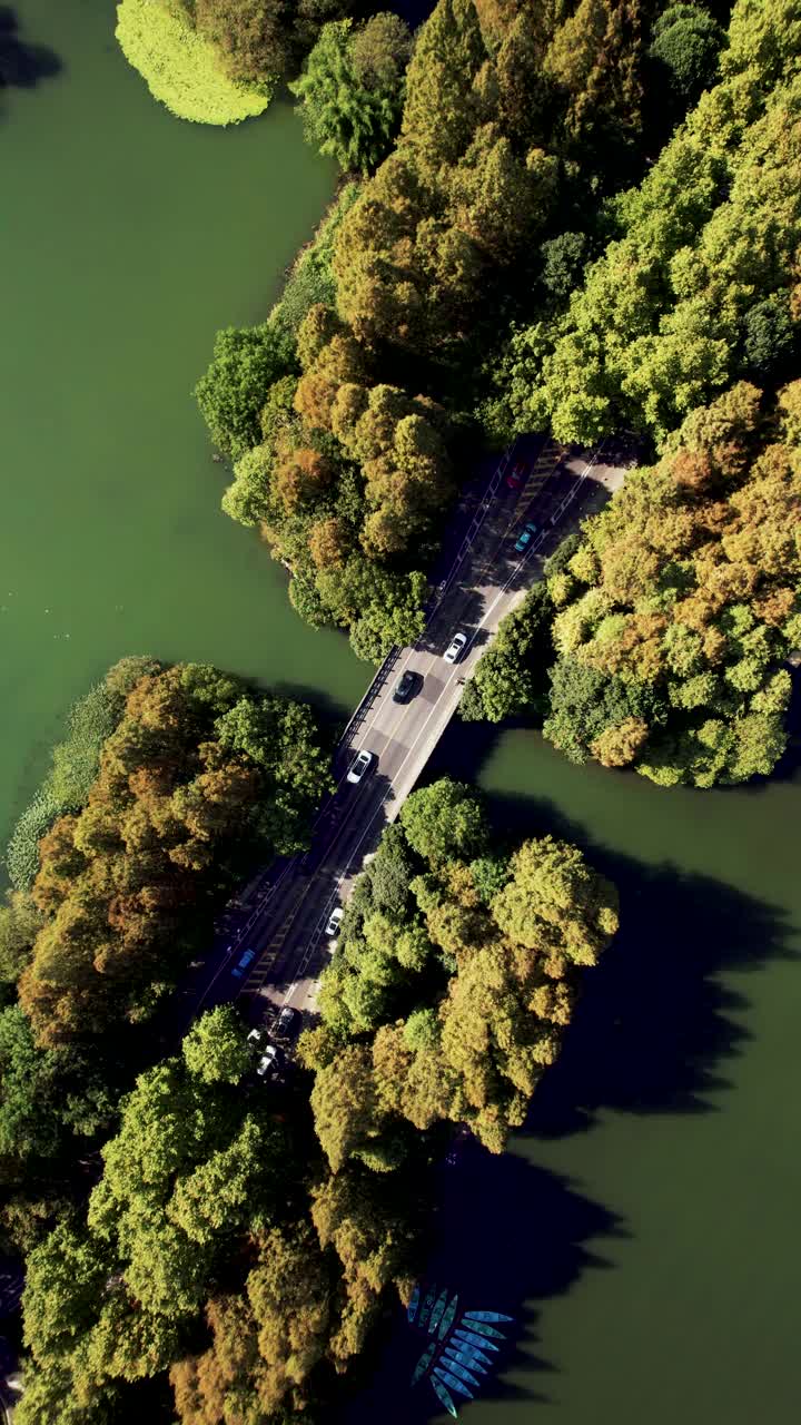 T/L鸟瞰通过湖泊和树木区域的道路视频下载