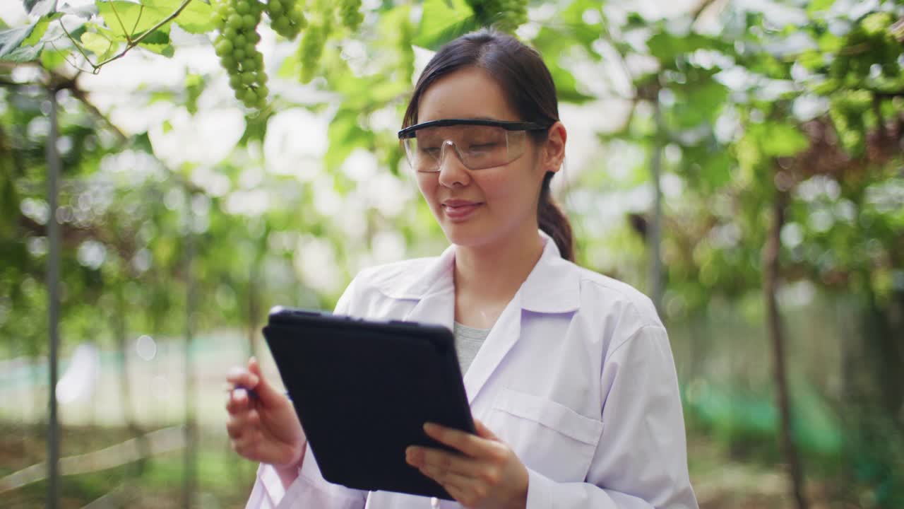科学家使用平板电脑检查植物视频素材