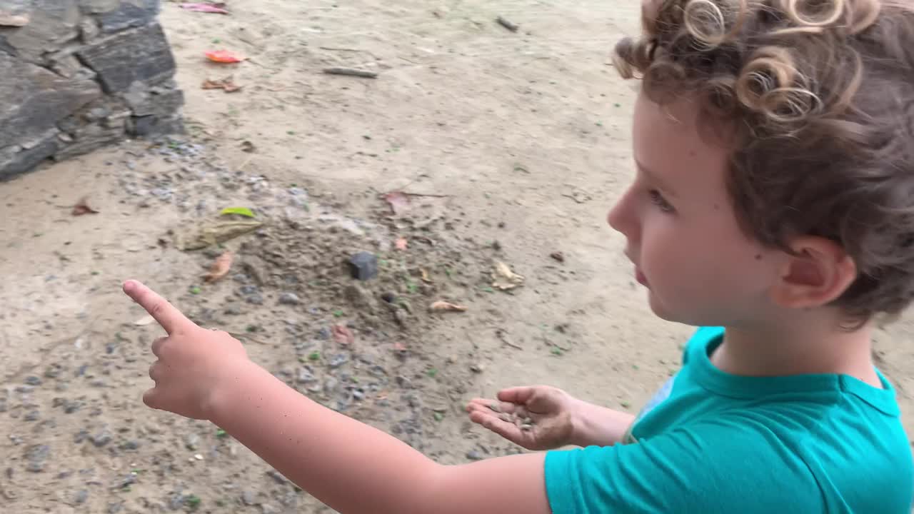 一个男孩在展示他在海滩上收集的贝壳视频下载