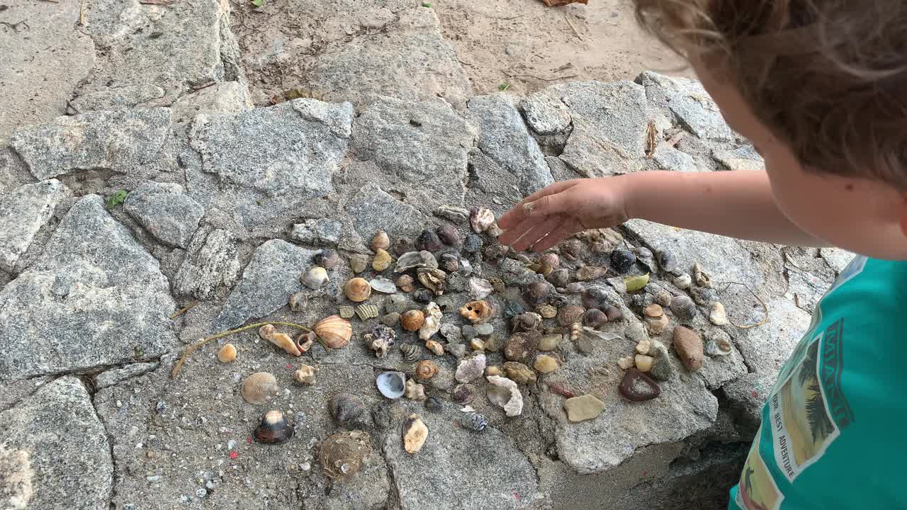 在海滩收集贝壳的近距离-男孩展示视频下载