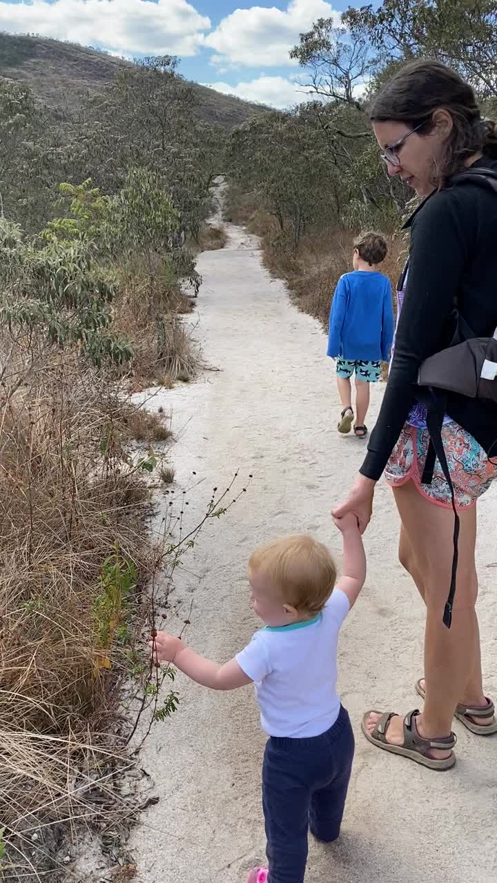 可爱的小女孩与妈妈和哥哥在徒步旅行时触摸塞拉多植物视频下载