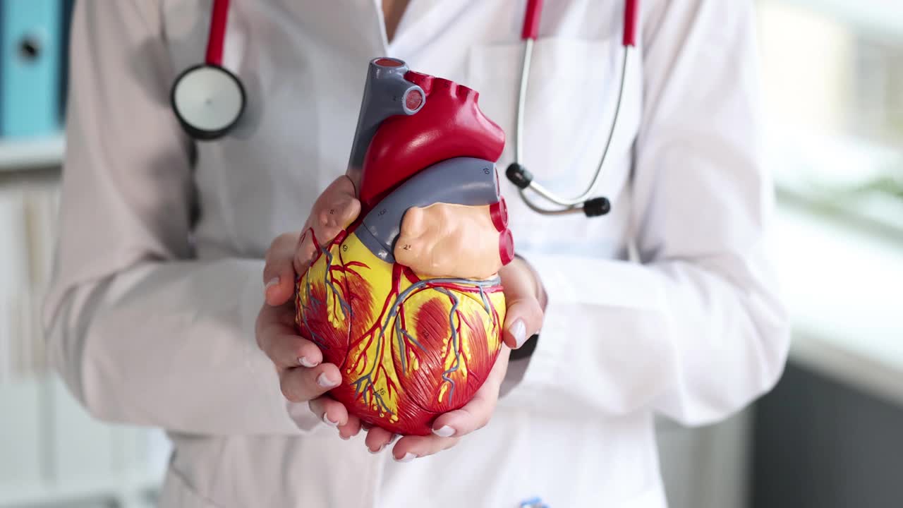 医生手持人工心脏模型在诊所特写4k电影慢动作视频素材