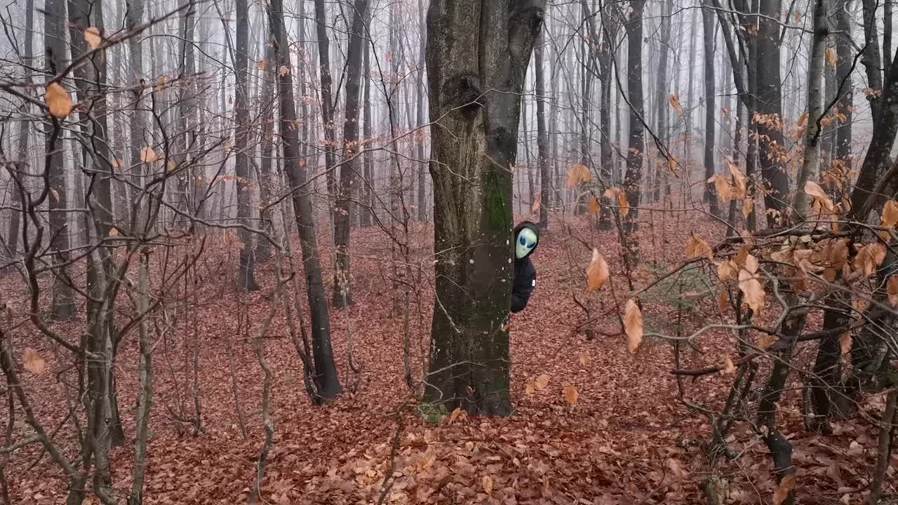 森林里，一个戴着外星人面具的生物正从树干后面窥视视频下载