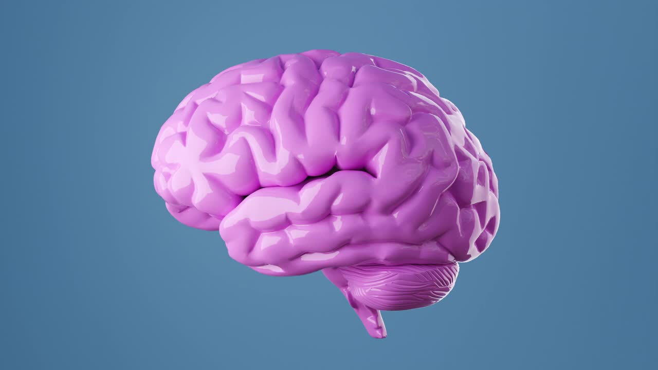 蓝色背景下亮粉色的人类大脑，肿胀的大脑改变形状视频下载