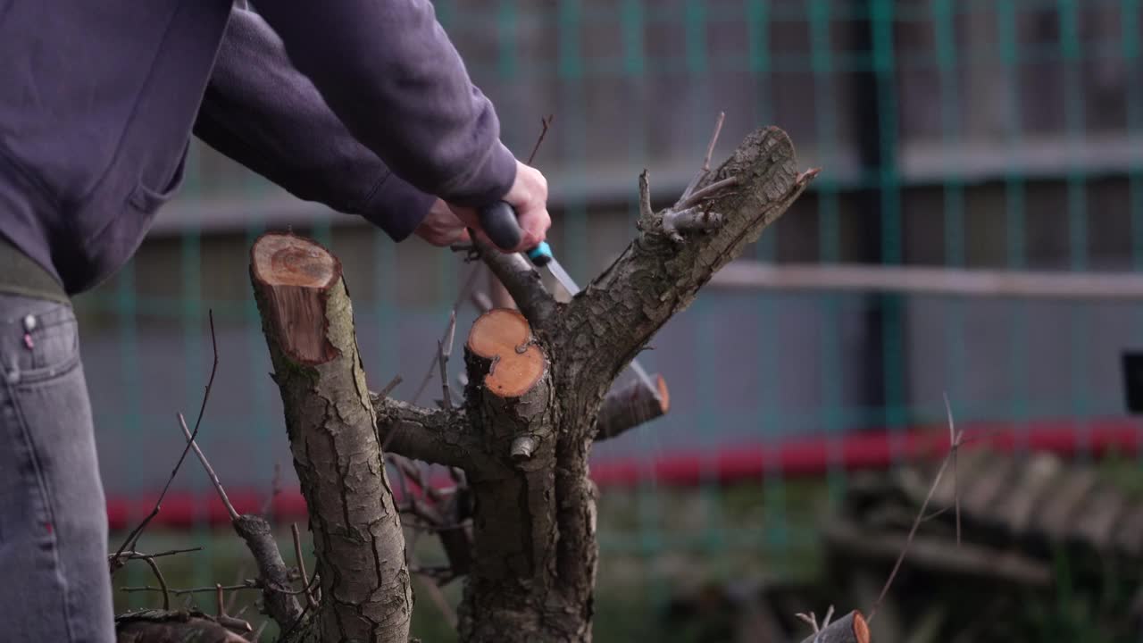 花园里有锯和果树视频下载