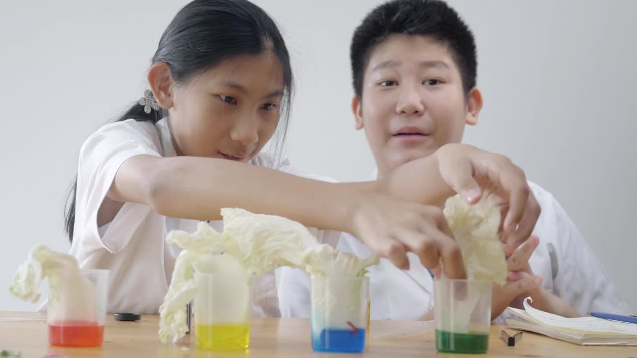 亚洲儿童穿着实验大褂进行渗透色实验，在家中进行科学实验，教育生活方式理念。视频下载