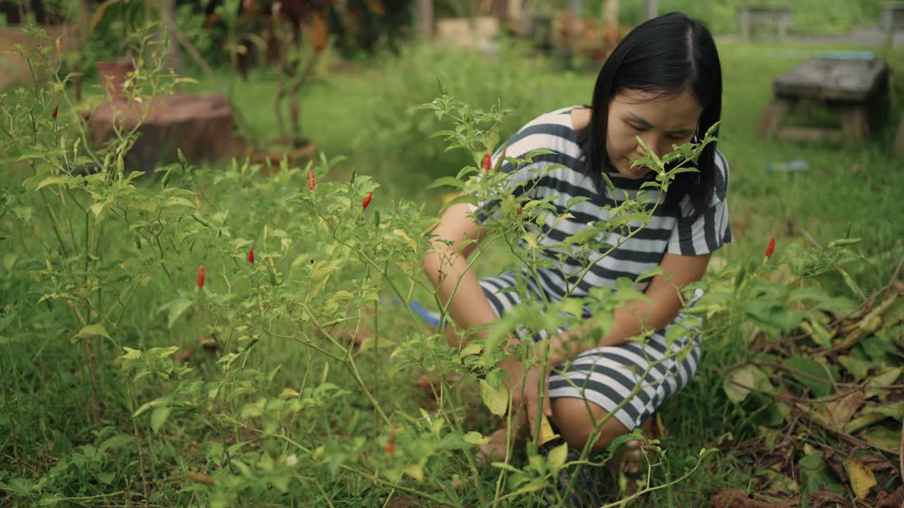 可持续的生活方式:女性园艺视频素材