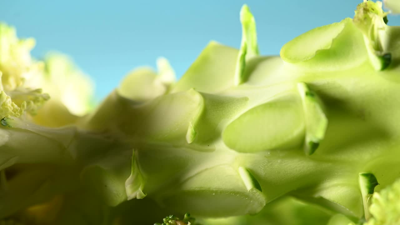生西兰花茎的宏观图像。视频下载