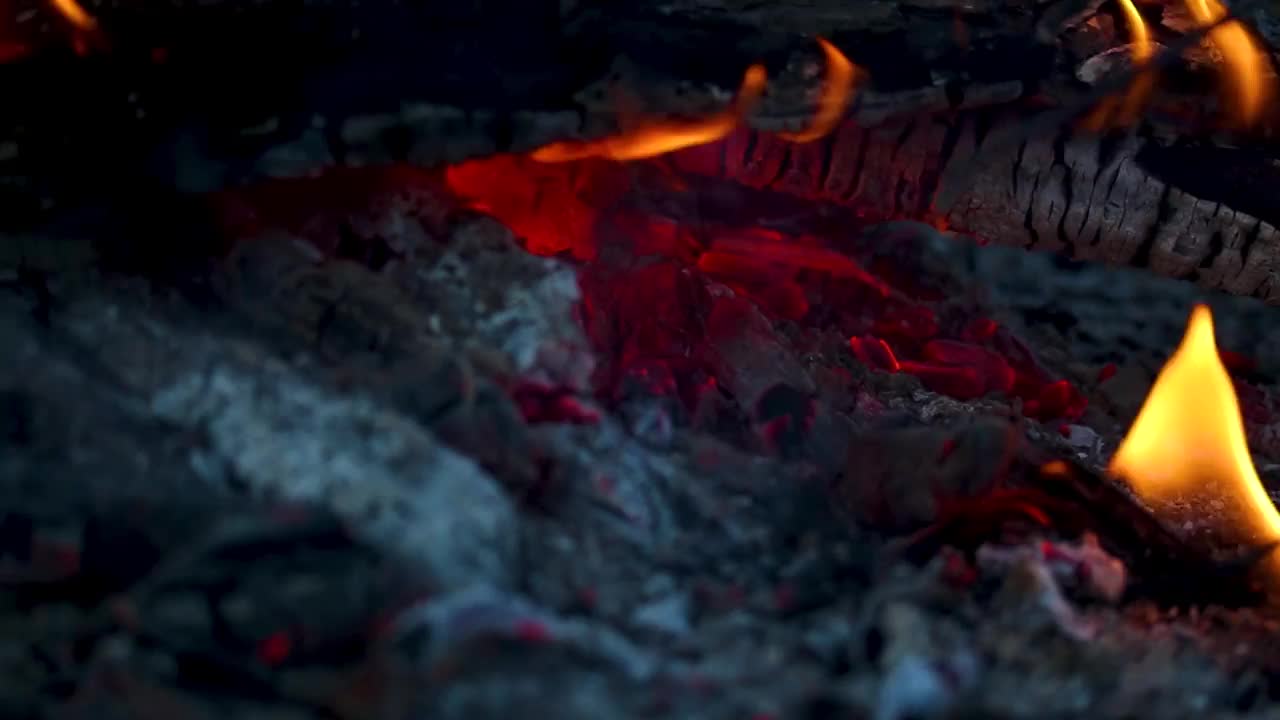 傍晚森林中燃烧的篝火的煤块视频下载