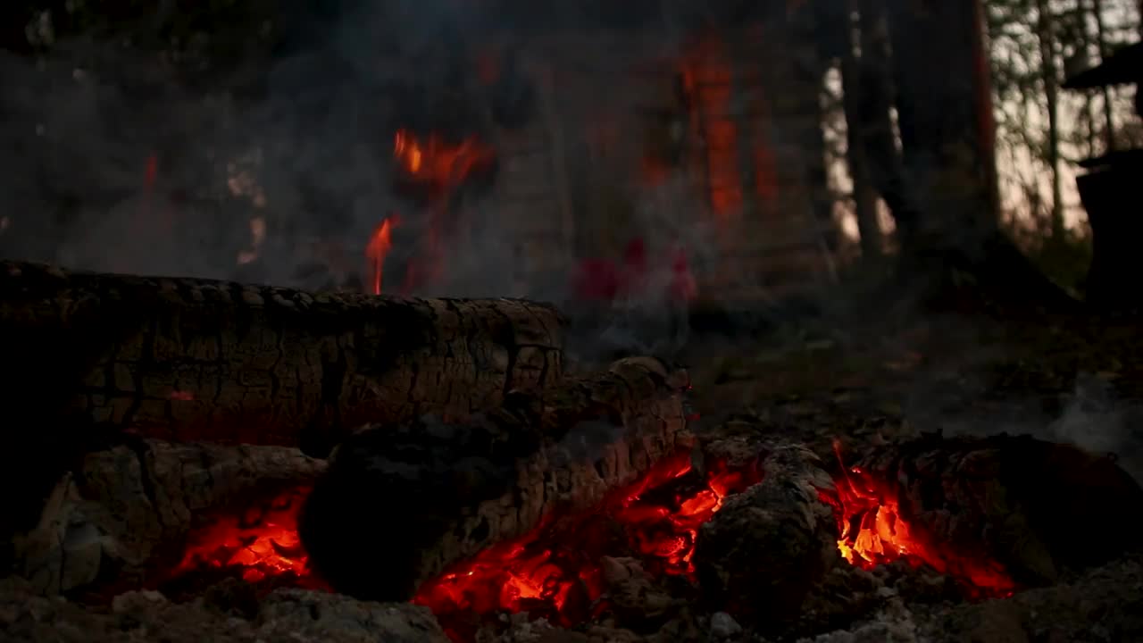 傍晚在湖边的森林里燃烧的炭火视频素材