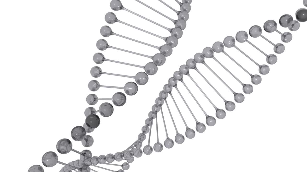 DNA螺旋模型视频下载
