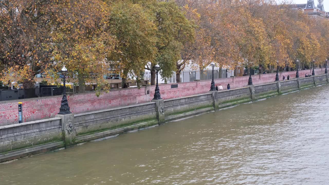 伦敦泰晤士河南岸，绵延的新冠纪念墙，红心和秋色树视频下载