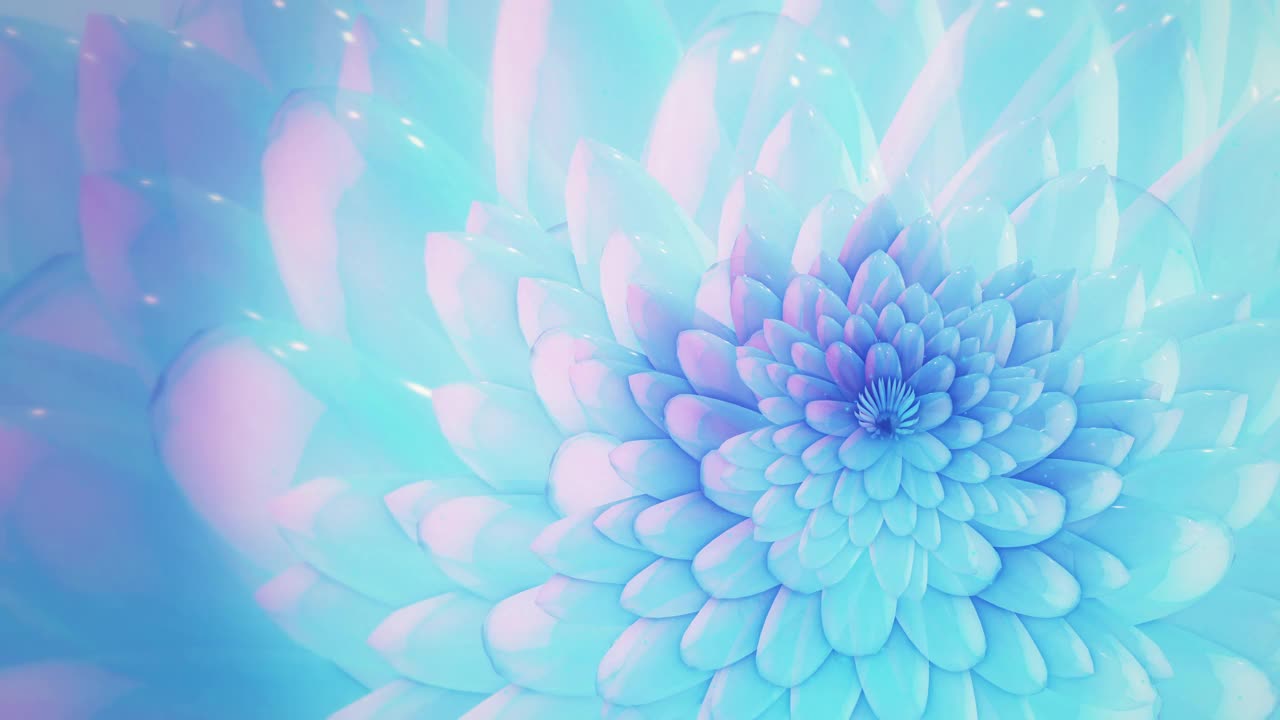 文摘Lotus背景视频素材