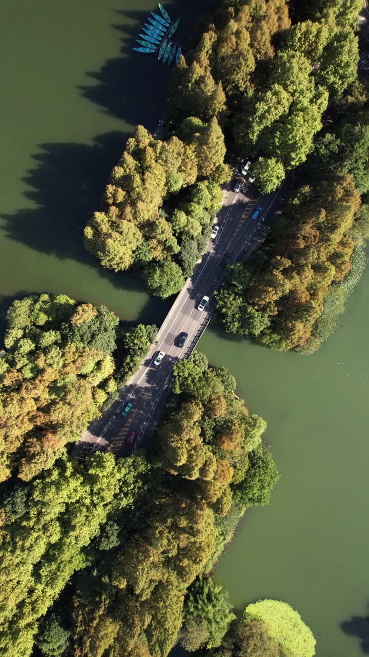 T/L鸟瞰通过湖泊和树木区域的道路视频素材