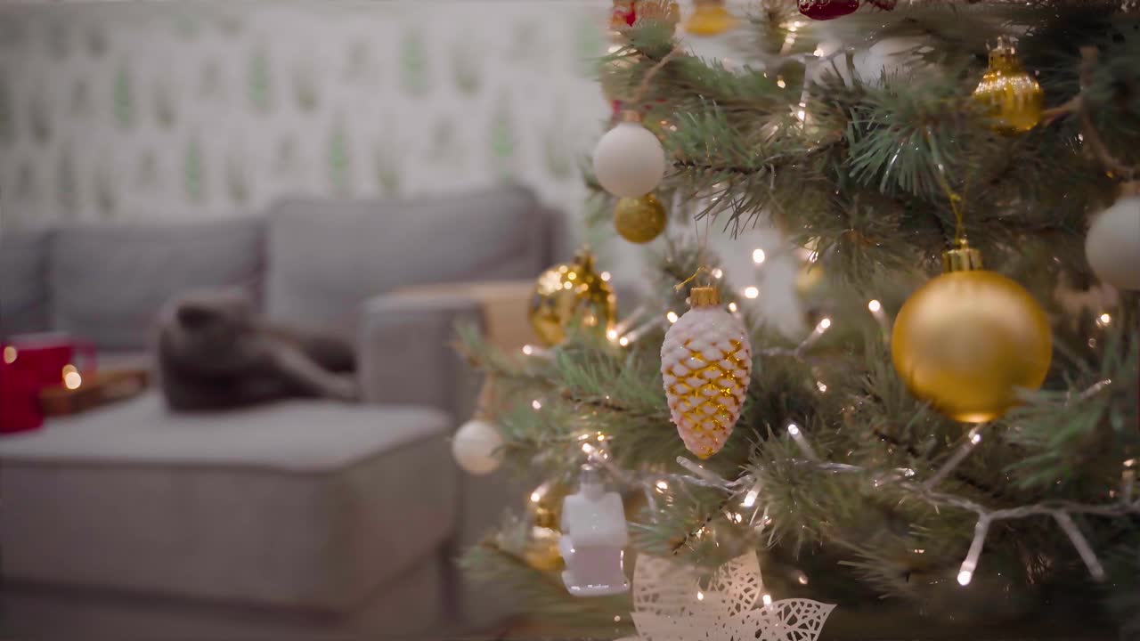 前景是一棵带花环的圣诞树，后面的沙发上是一只猫。圣诞节舒适的心情。视频素材