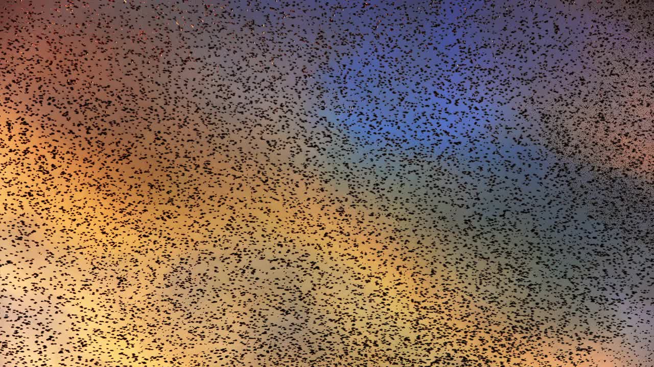 日落时的天空充满了椋鸟的喃喃细语视频素材