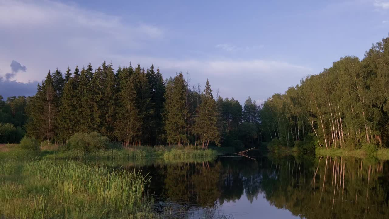 小湖岸边的树木倒映着水面视频下载
