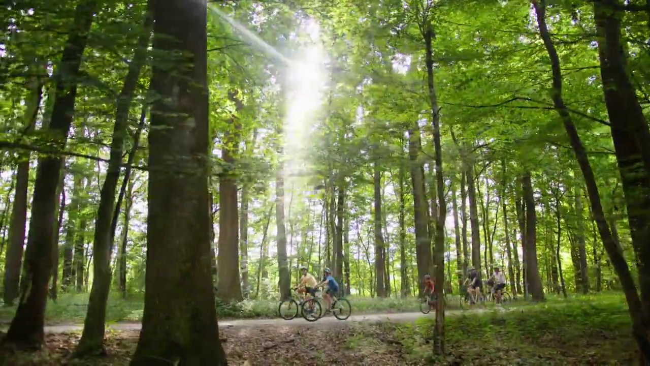 一个带着三个孩子的家庭骑着自行车穿过森林视频下载