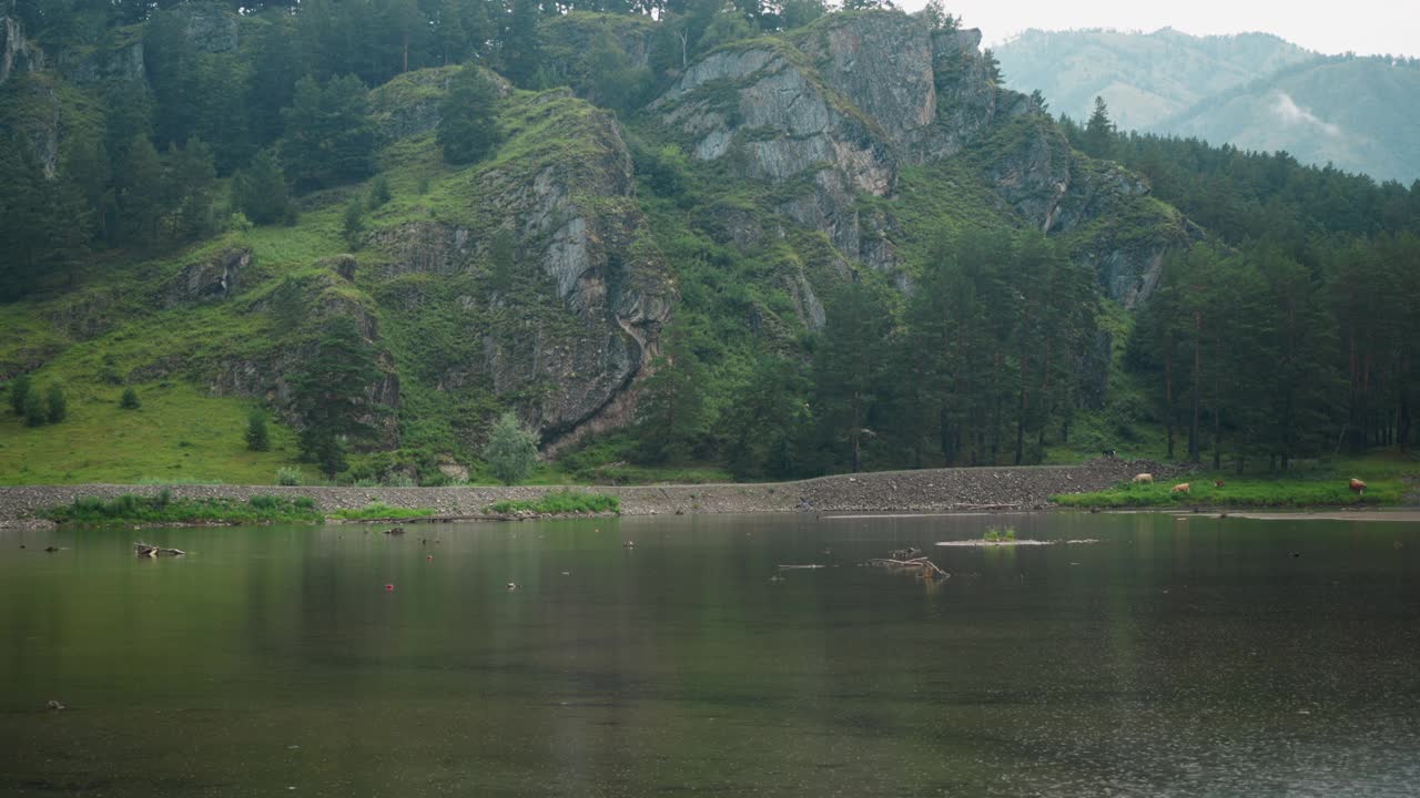 湖畔有多岩石的山丘和野生森林视频素材