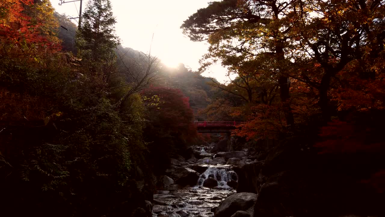 五彩缤纷的秋叶，瀑布和桥:视频素材