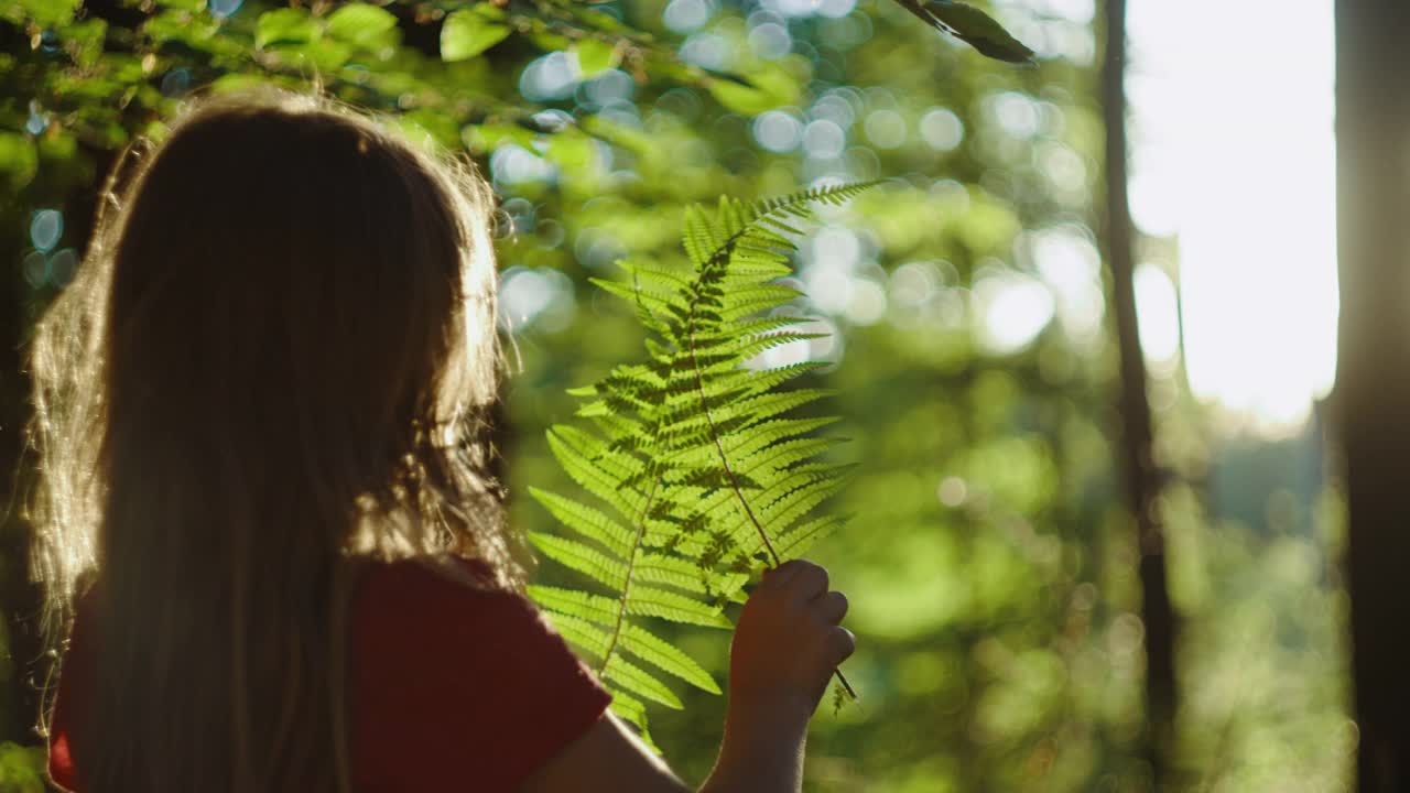 一个小女孩在阳光下拿着一根蕨枝视频下载