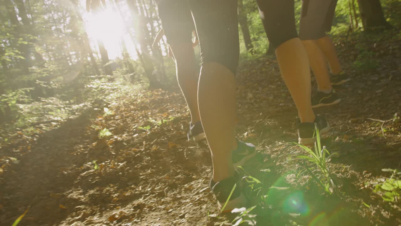 SLO MO家族在森林里跑步视频下载