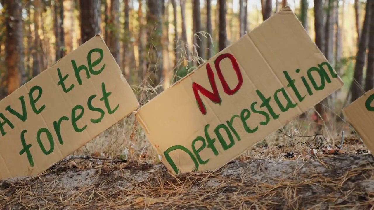 森林里活动人士留下的海报视频下载