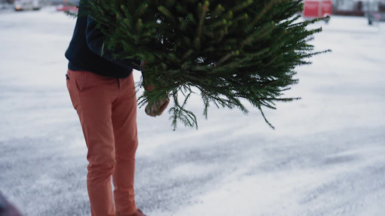 把圣诞树放在地上视频下载