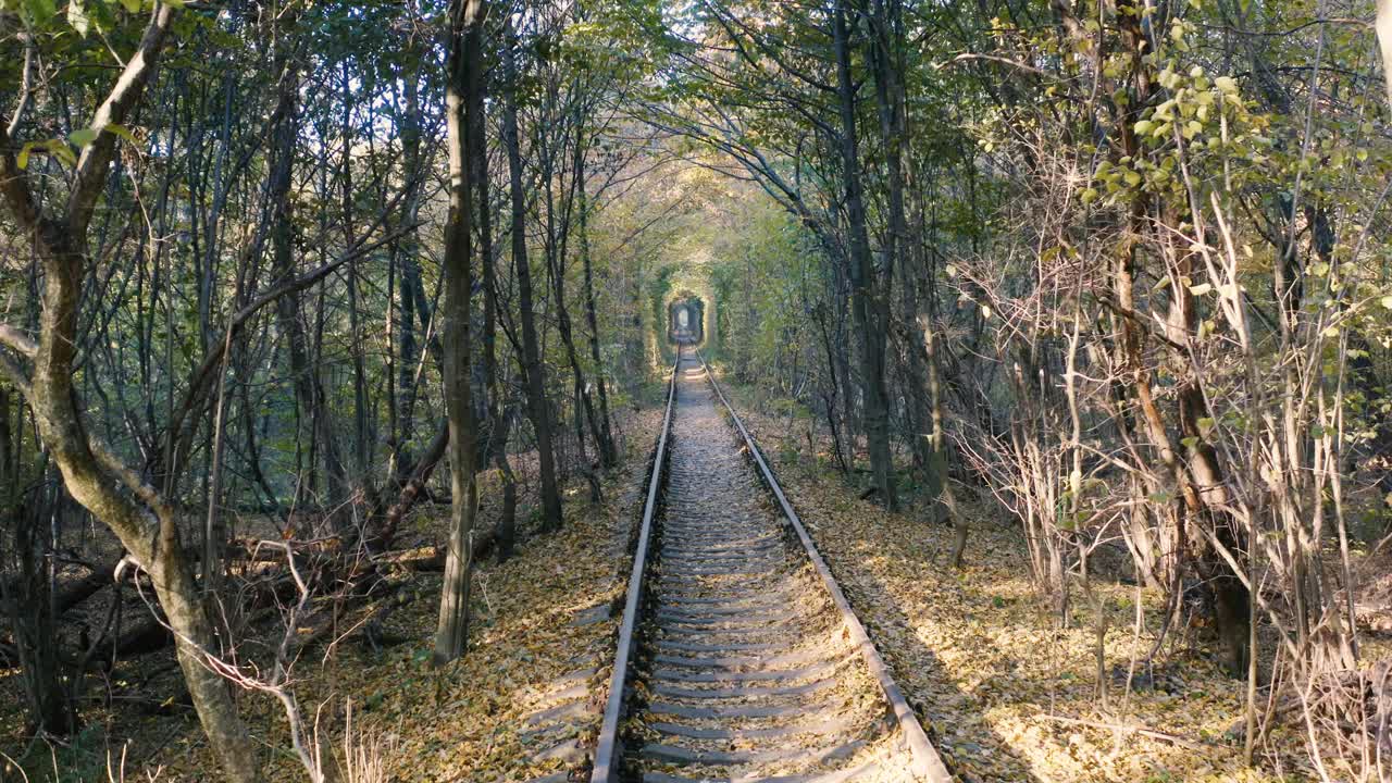 爱情隧道，铁路。古老的足迹长满了树木。浪漫迷人的地方。视频素材