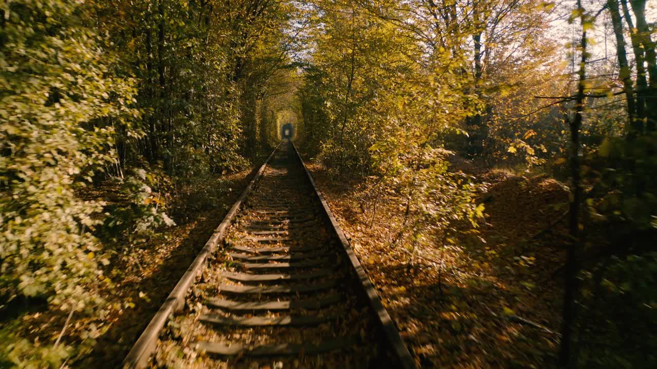 爱情隧道，铁路。古老的足迹长满了树木。浪漫迷人的地方。视频素材