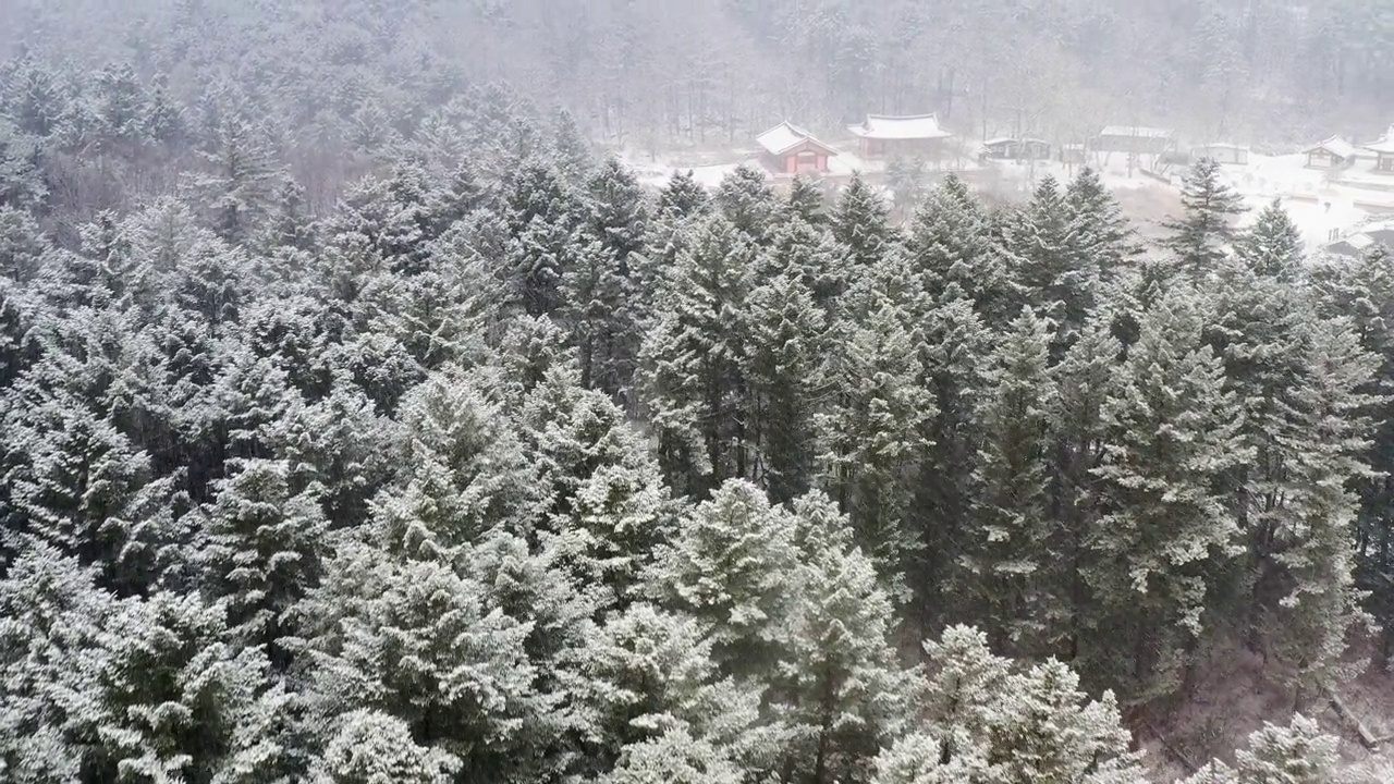 冬季——奉仙寺/南阳州市，韩国视频下载