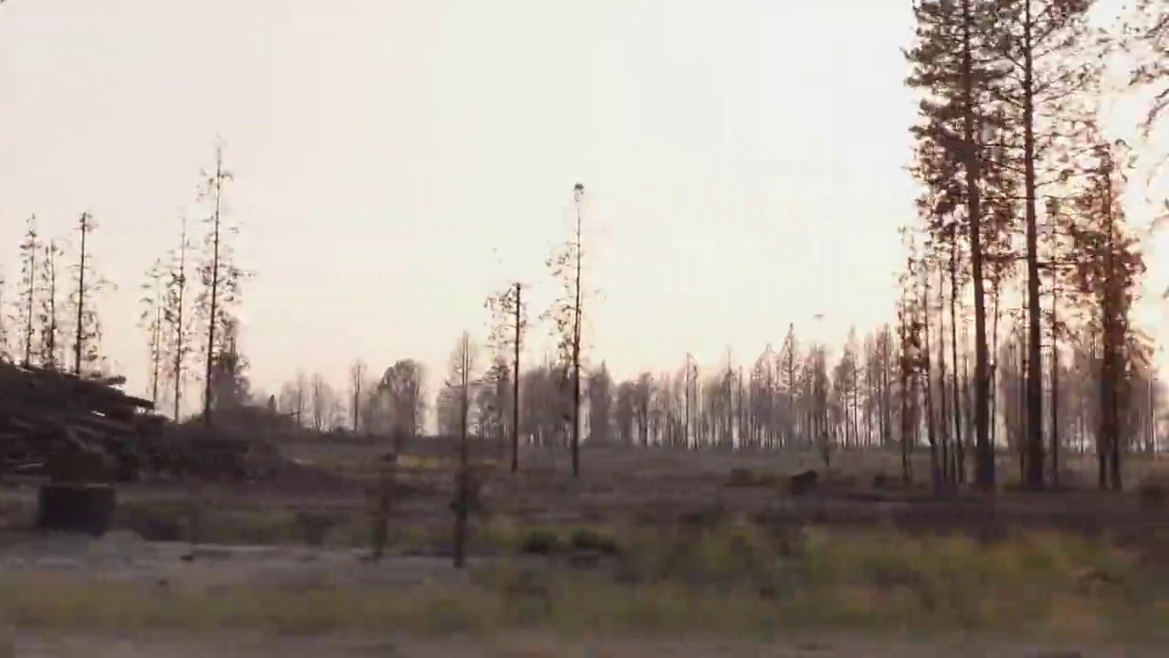 公路上森林大火造成的破坏视频下载